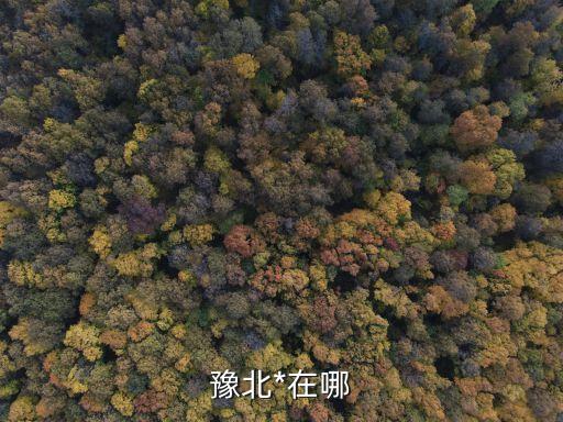 豫北*，豫北*在哪