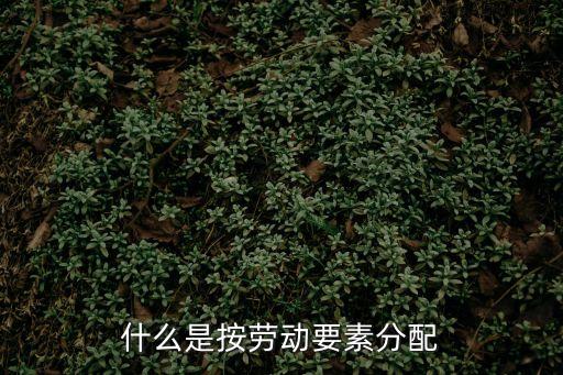 按勞動(dòng)要素分配，按勞動(dòng)要素分配什么意思