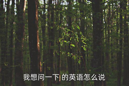 我問(wèn)一下，我想問(wèn)一下 的英語(yǔ)怎么說(shuō)
