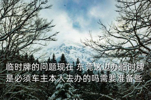 臨時(shí)牌的問(wèn)題現(xiàn)在 東莞這邊辦臨時(shí)牌是必須車主本人去辦的嗎需要準(zhǔn)備些...