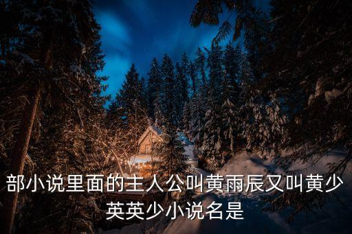 部小說里面的主人公叫黃雨辰又叫黃少英英少小說名是