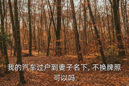 只變更車主不換車牌,車牌照能查到車主名字嗎
