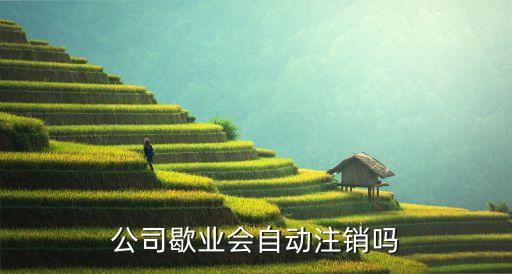 歇業(yè)，請問歇業(yè)與破產(chǎn)是一個概念嗎