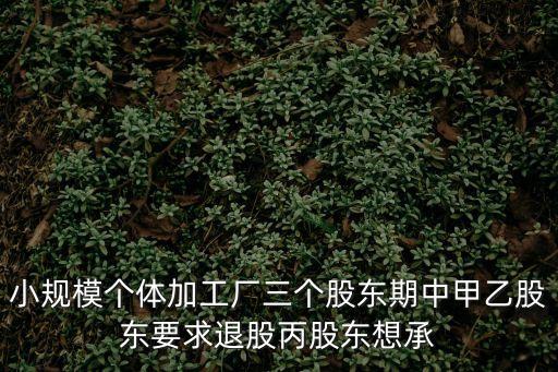 簡單的退股協(xié)議書，小規(guī)模個(gè)體加工廠三個(gè)股東期中甲乙股東要求退股丙股東想承