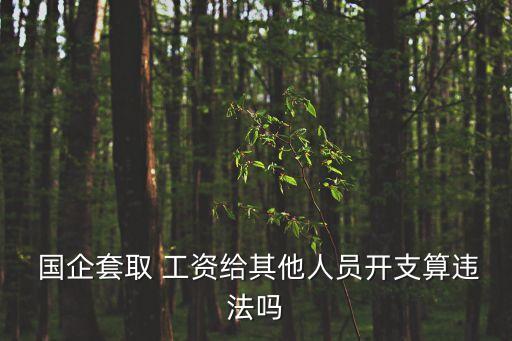  國企套取 工資給其他人員開支算違法嗎