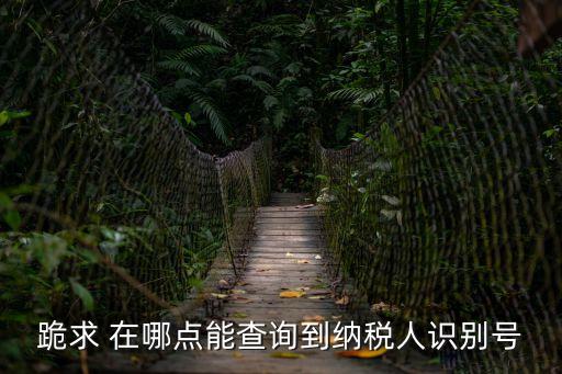 跪求 在哪點能查詢到納稅人識別號