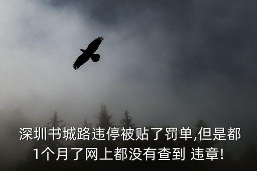 深圳交警違章查詢