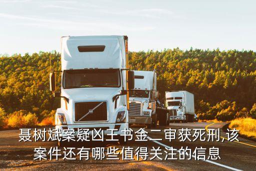 聶樹斌案,從程序正義評聶樹斌案