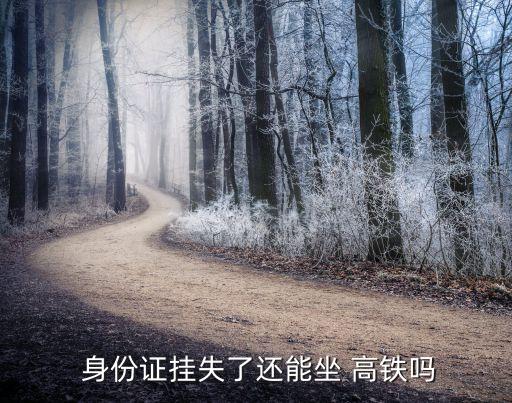 身份證丟了可以坐高鐵嗎,在外地身份證丟了可以坐高鐵嗎