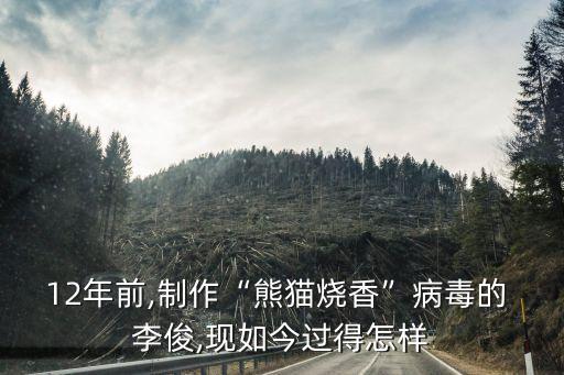 12年前,制作“熊貓燒香”病毒的 李俊,現(xiàn)如今過得怎樣