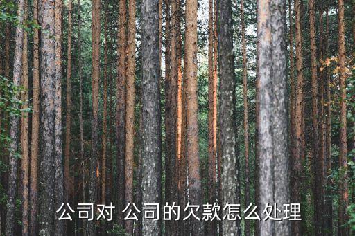  公司對(duì) 公司的欠款怎么處理