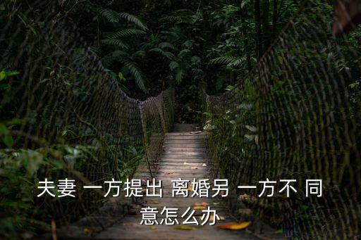 另一方不同意離婚怎么辦,離婚起訴需要多少錢費用