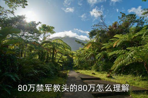 80萬(wàn)，80萬(wàn)禁軍教頭的80萬(wàn)怎么理解