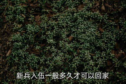 新兵入伍一般多久才可以回家