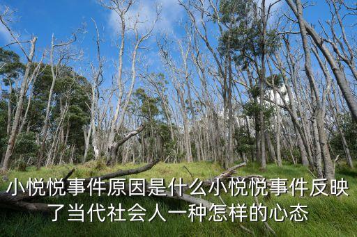 悅悅事件，如何看待小悅悅事件