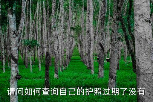 護照有效期怎么看，請問如何查詢自己的護照過期了沒有