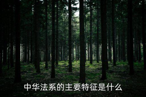 中華法系的特點(diǎn)，中國法治的特點(diǎn)是什么