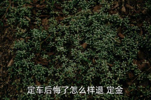 交的車定金有什么方法可以拿回來,車交了定金能不能退