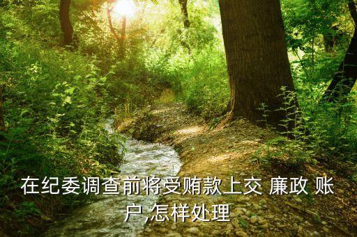 廉政賬戶,廉潔賬戶退款后的處理方法