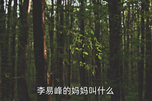 李漢文，李漢文這幾個字怎么寫好看