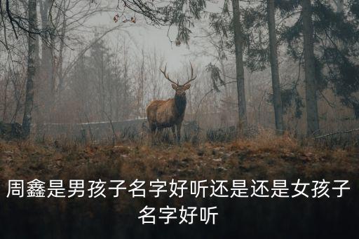 周鑫，周鑫兩個(gè)字用拼音怎么說