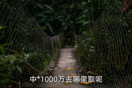 中*1000萬去哪里取呢