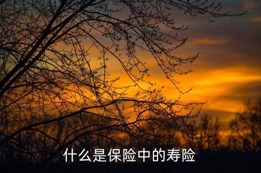 壽險(xiǎn)，什么是保險(xiǎn)中的壽險(xiǎn)