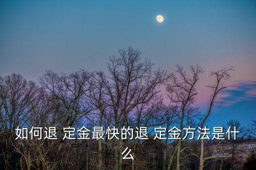 定金如何可以退款,定金想退,有什么渠道