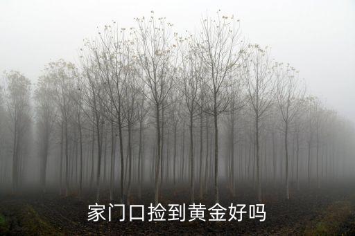 家門口撿到黃金好嗎