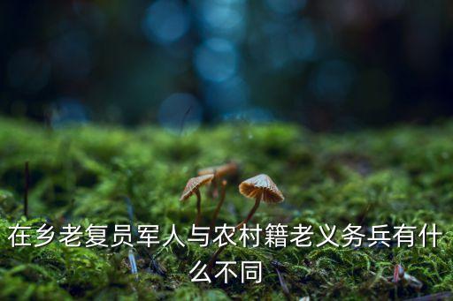 在鄉(xiāng)老復(fù)員軍人與農(nóng)村籍老義務(wù)兵有什么不同