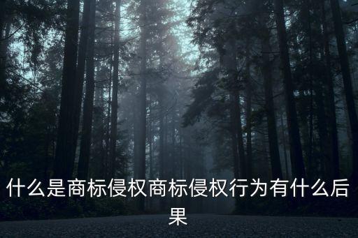 什么是商標(biāo)侵權(quán)商標(biāo)侵權(quán)行為有什么后果