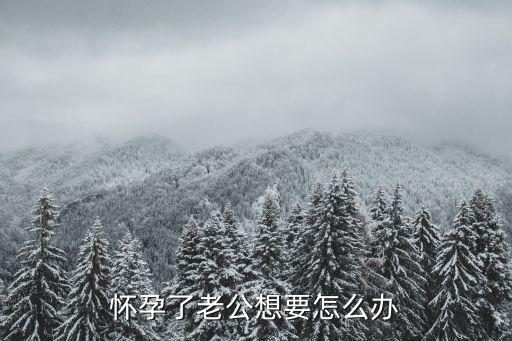 懷孕了老公想要，懷孕時老公想要怎么辦