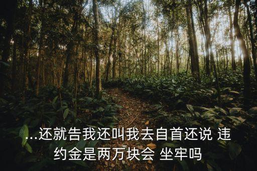 ...還就告我還叫我去自首還說(shuō) 違約金是兩萬(wàn)塊會(huì) 坐牢嗎