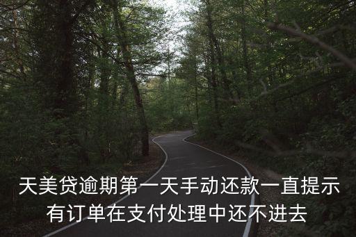 天美貸