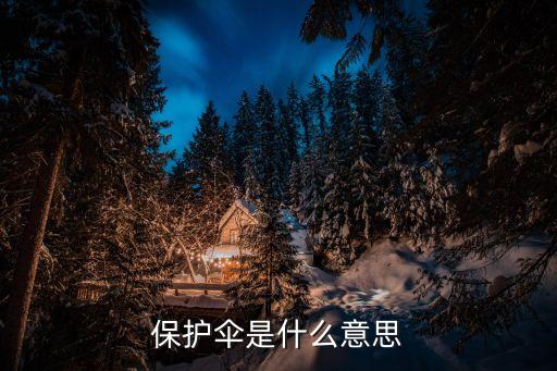 保護傘，什么是保護傘