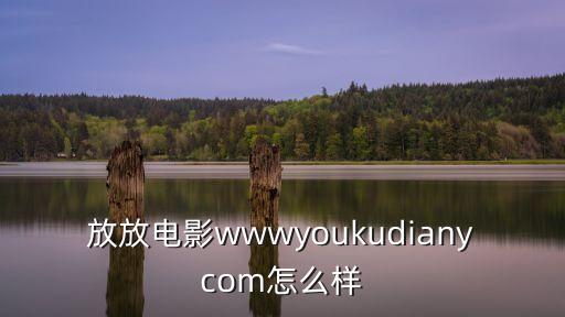 放放電影wwwyoukudianycom怎么樣