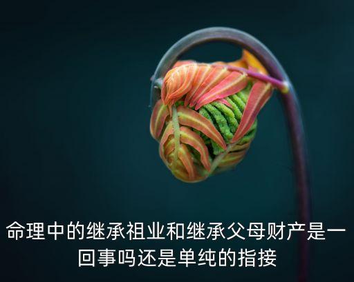 命理中的繼承祖業(yè)和繼承父母財產(chǎn)是一回事嗎還是單純的指接