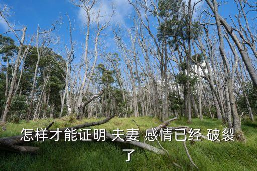 夫妻感情破裂