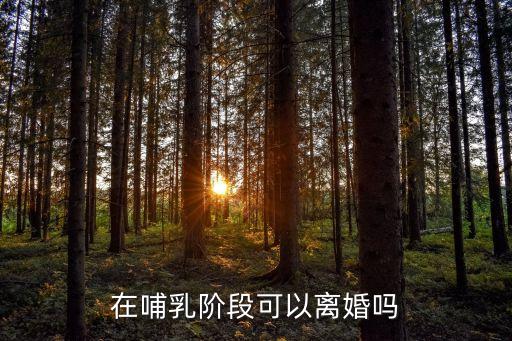 哺乳期可以離婚嗎，孩子在哺乳期能離婚嗎