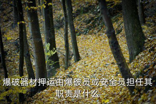 爆破器材押運(yùn)由爆破員或安全員擔(dān)任其職責(zé)是什么