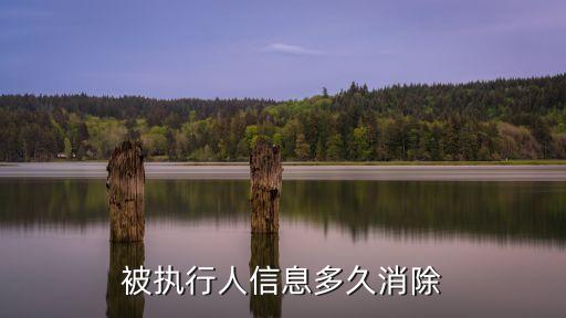 被執(zhí)行人信息多久消除