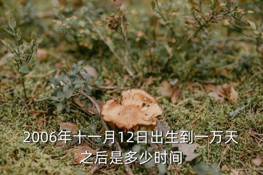 11月12