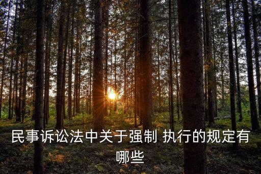 民事訴訟法中關(guān)于強制 執(zhí)行的規(guī)定有哪些