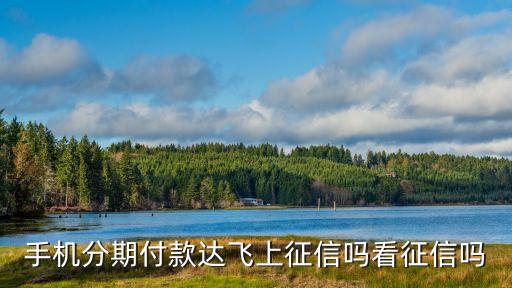 手機(jī)分期付款達(dá)飛上征信嗎看征信嗎