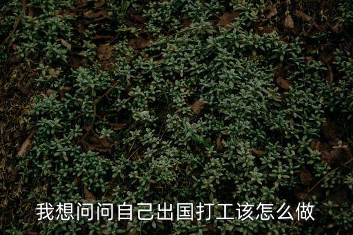如何出國(guó)打工，怎么去國(guó)外工作