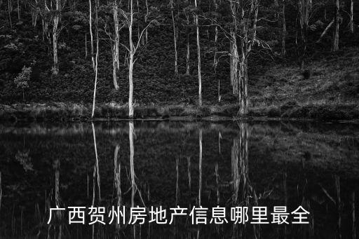 賀州房地產，廣西賀州那個房地產的房子好