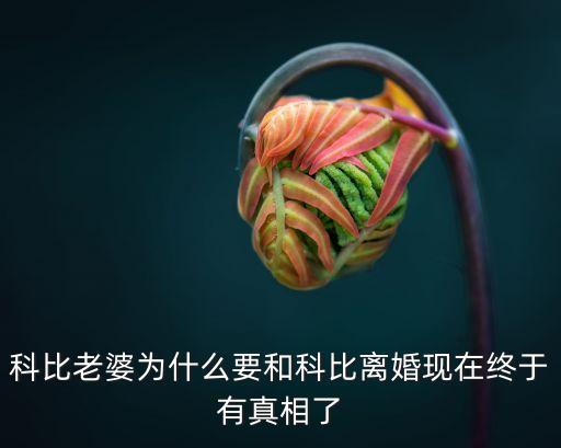 科比老婆為什么要和科比離婚現(xiàn)在終于有真相了