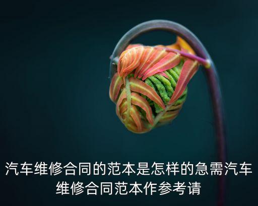 汽車維修合同范本，汽車維修協(xié)議書范本