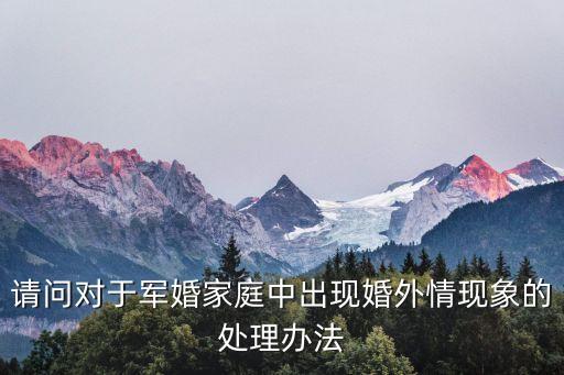 請問對于軍婚家庭中出現(xiàn)婚外情現(xiàn)象的處理辦法