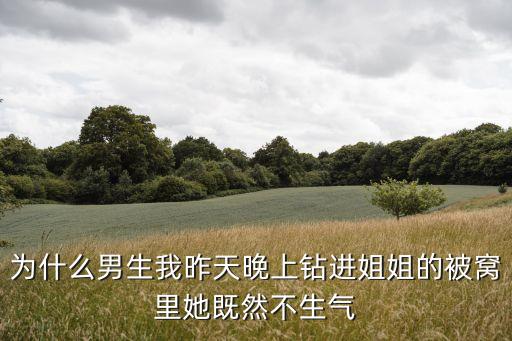 爬上姐姐的床，為什么男生我昨天晚上鉆進(jìn)姐姐的被窩里她既然不生氣